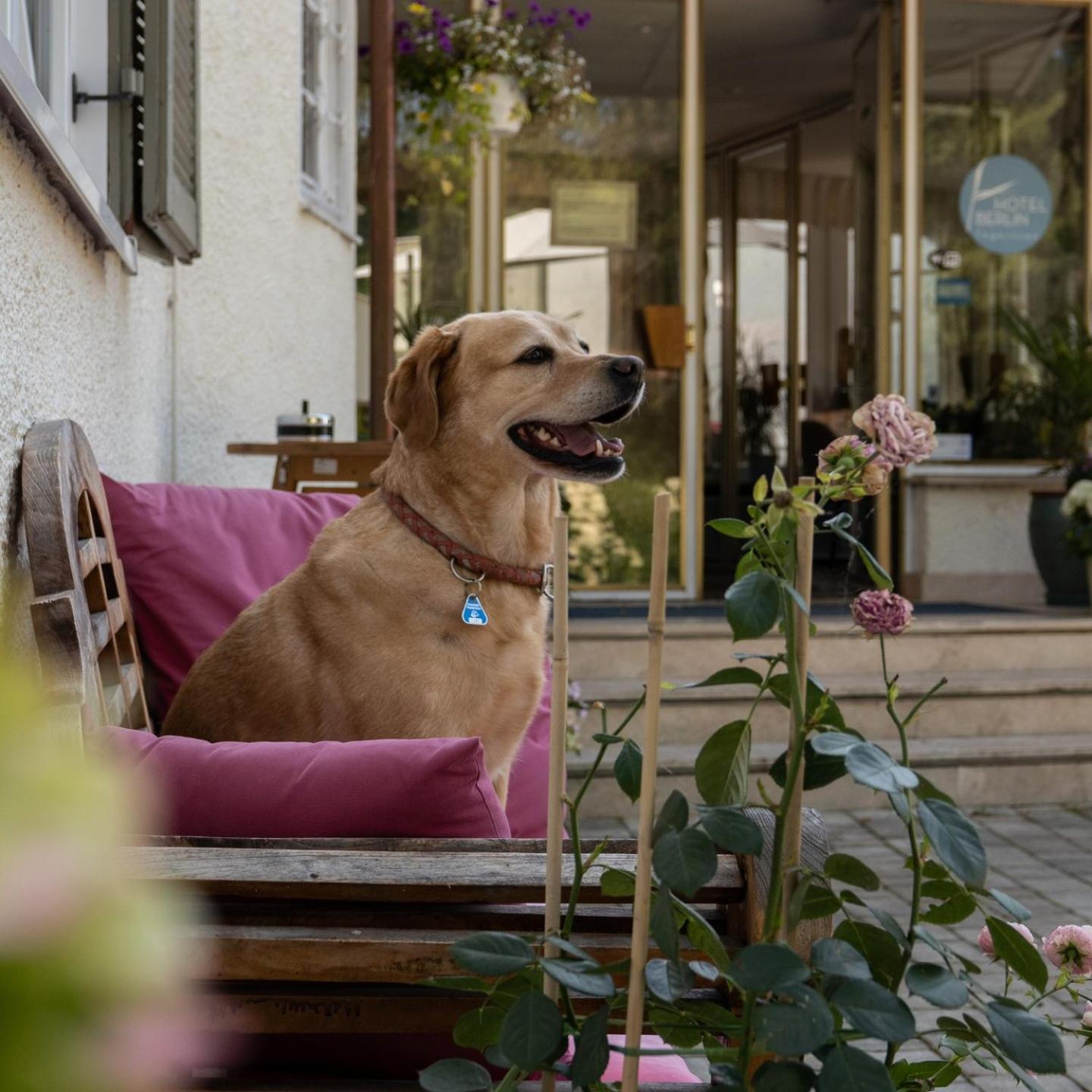 Hotel Berlin Tegernsee Rottach-Egern Ngoại thất bức ảnh