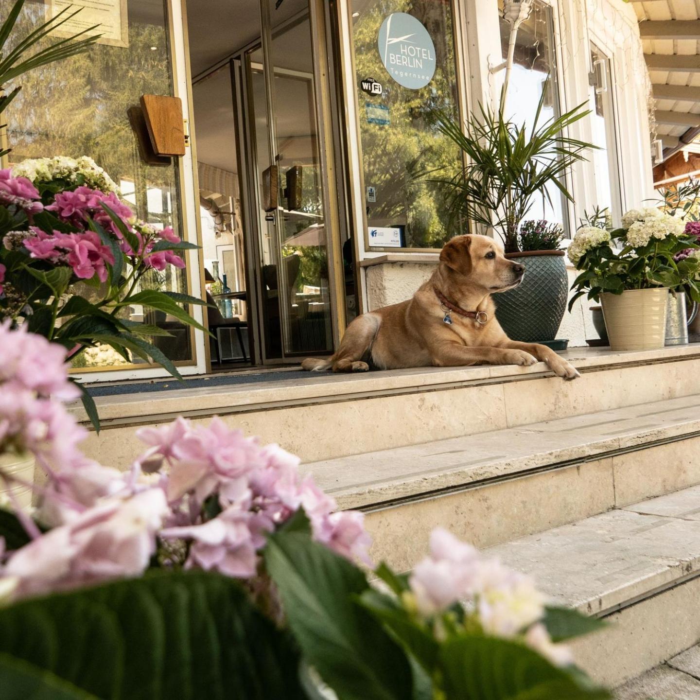 Hotel Berlin Tegernsee Rottach-Egern Ngoại thất bức ảnh