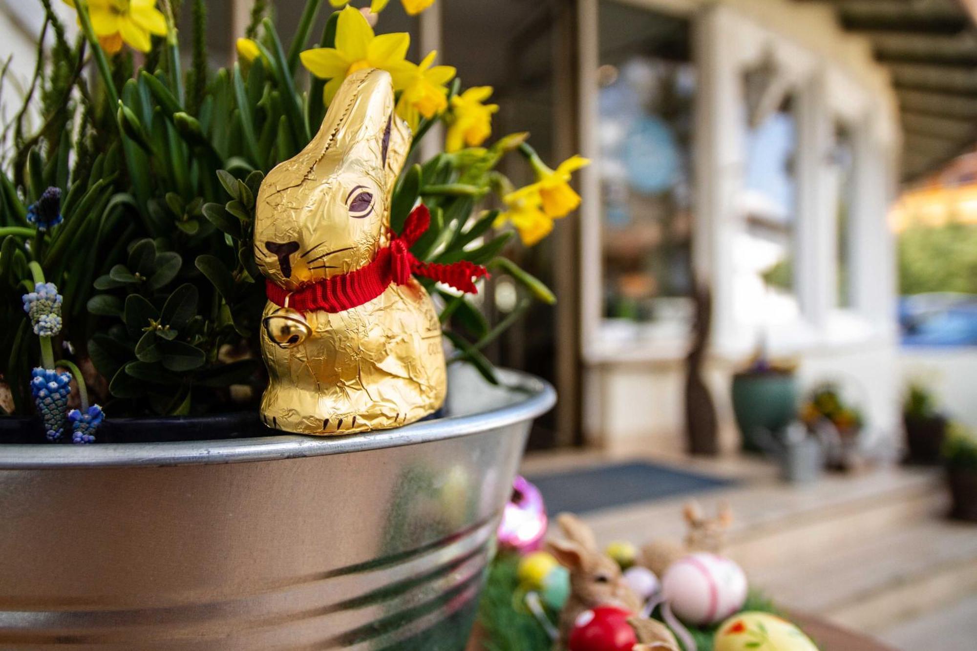 Hotel Berlin Tegernsee Rottach-Egern Ngoại thất bức ảnh
